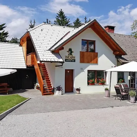 Apartment Pr'cajhn Radovljica