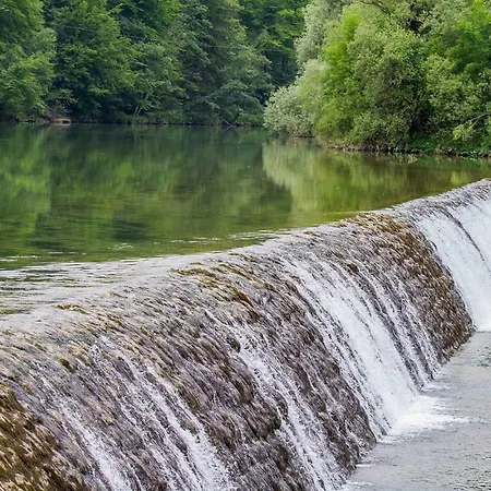 Daire Pr'cajhn Radovljica